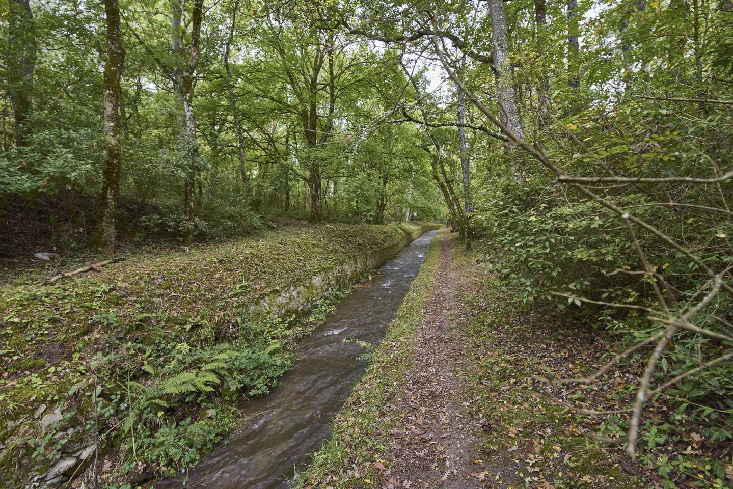 La rigole de ceinture du barrage de Saint-Férréol est le prolongement de la rigole de la Montagne.
Elle transporte les eaux du Laudot réparties entre le barrage et la rigole.