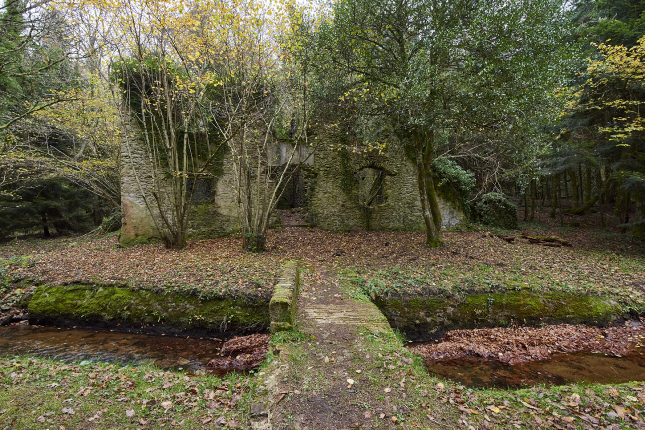 Il y a quelques bâtisses en ruine le long de la rigolle.