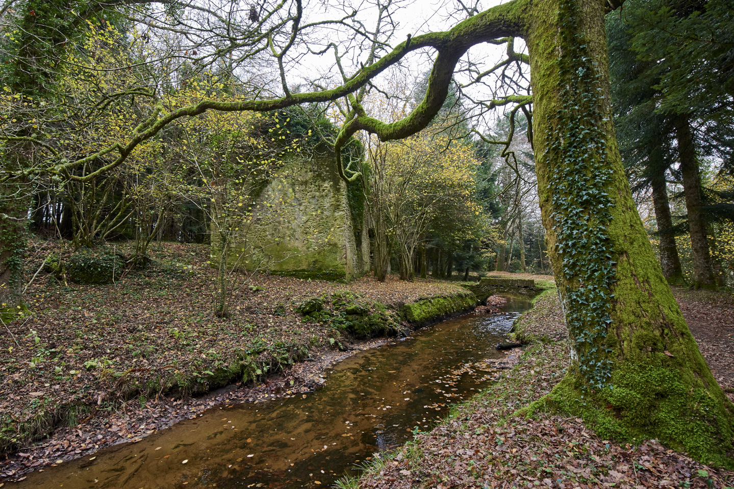 Aux sources du Canal du Midi