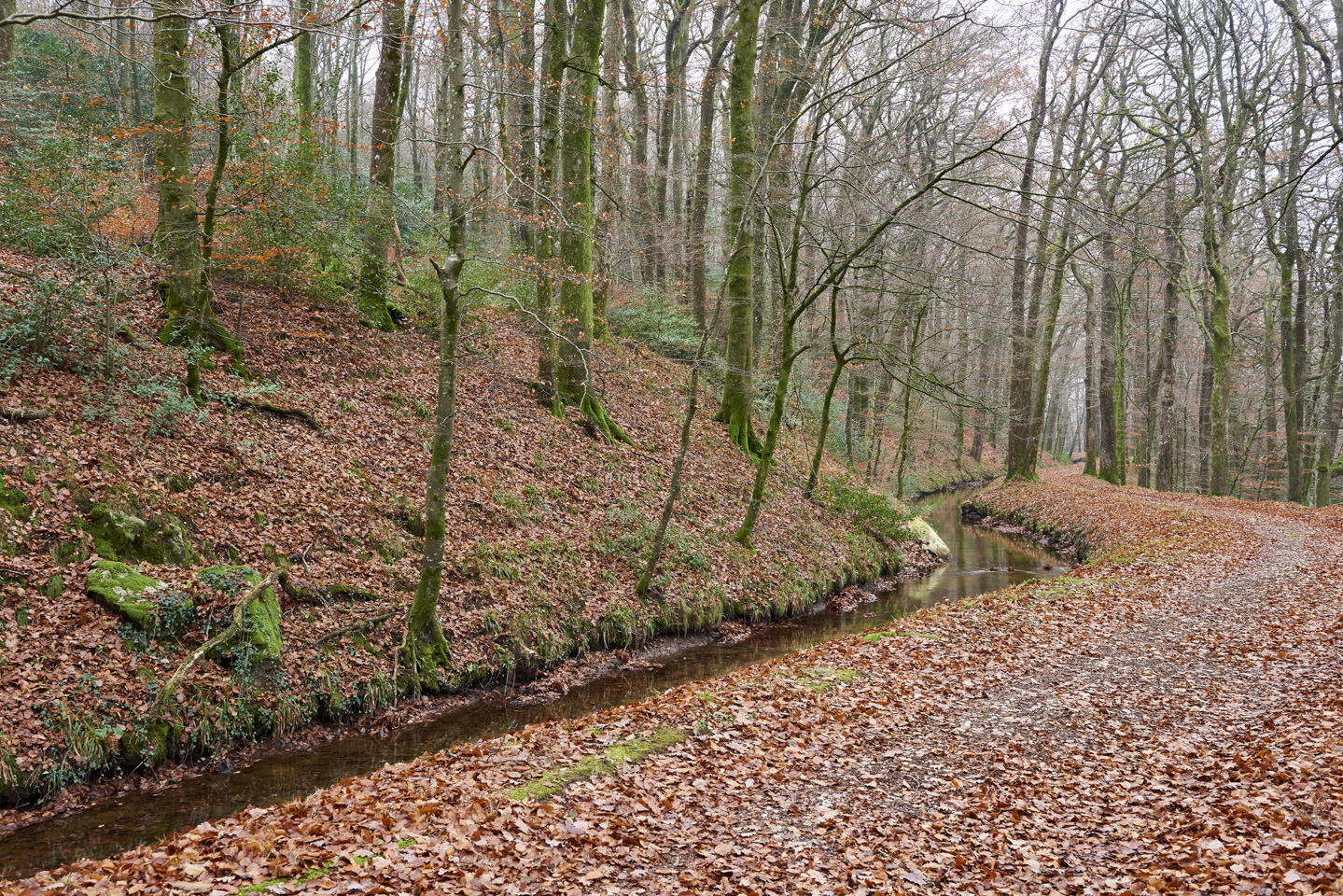 Aux sources du Canal du Midi