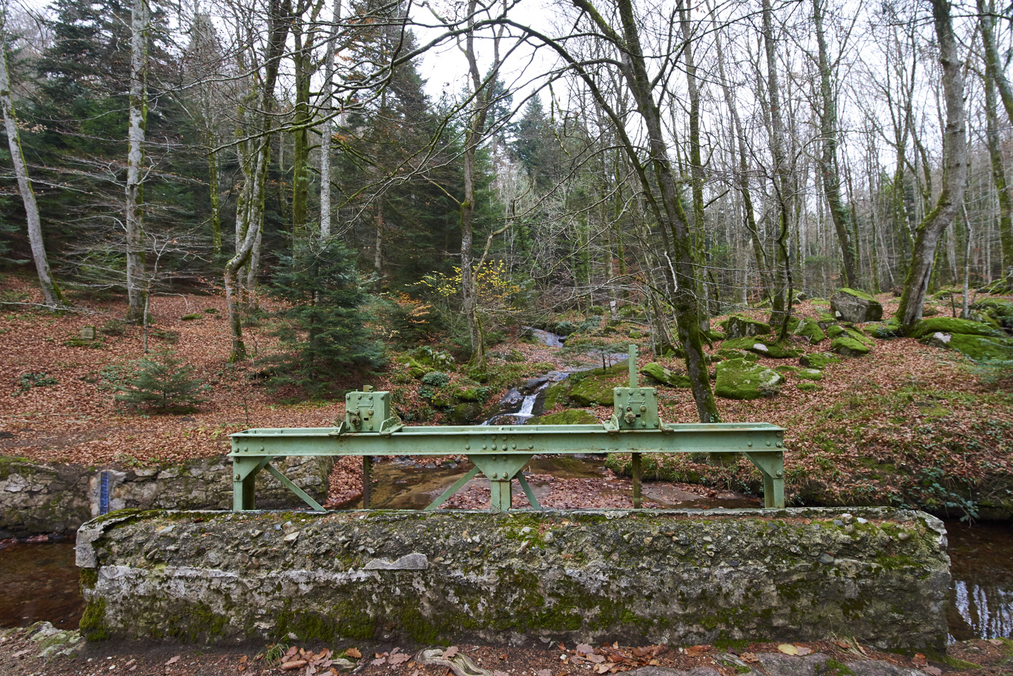 Le cours de la Bernassonne est intercepté par la rigole de la Montagne.