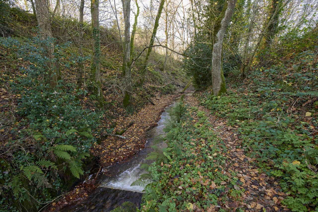 Aux sources du Canal du Midi