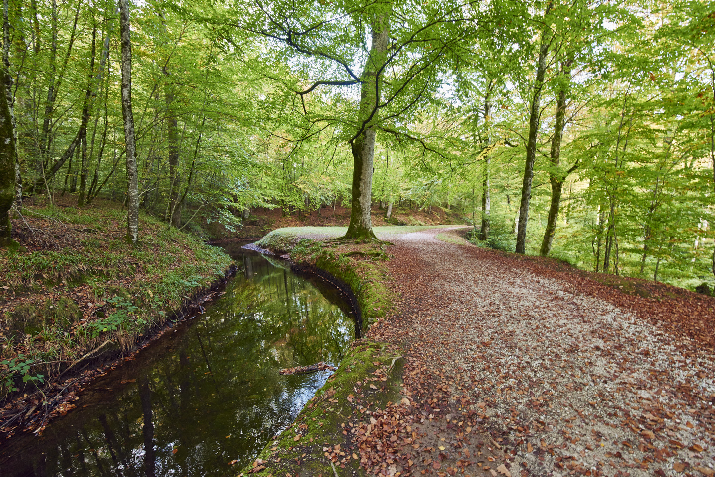 La rigole de la Montagne récupère les eaux des rivières du versant méditerranéen, l'Alzeau, la Bernassonne, le Lampy et le Rieutort pour les transiter jusqu'au bassin de Saint Ferréol.