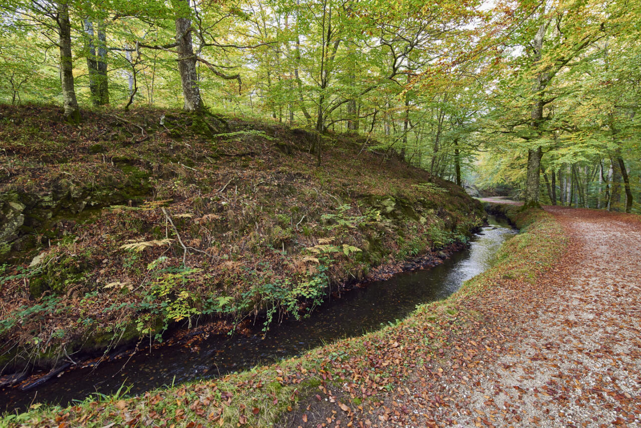 La rigole sillonne la montagne sur 30 km avec une largeur de 2 m environ.